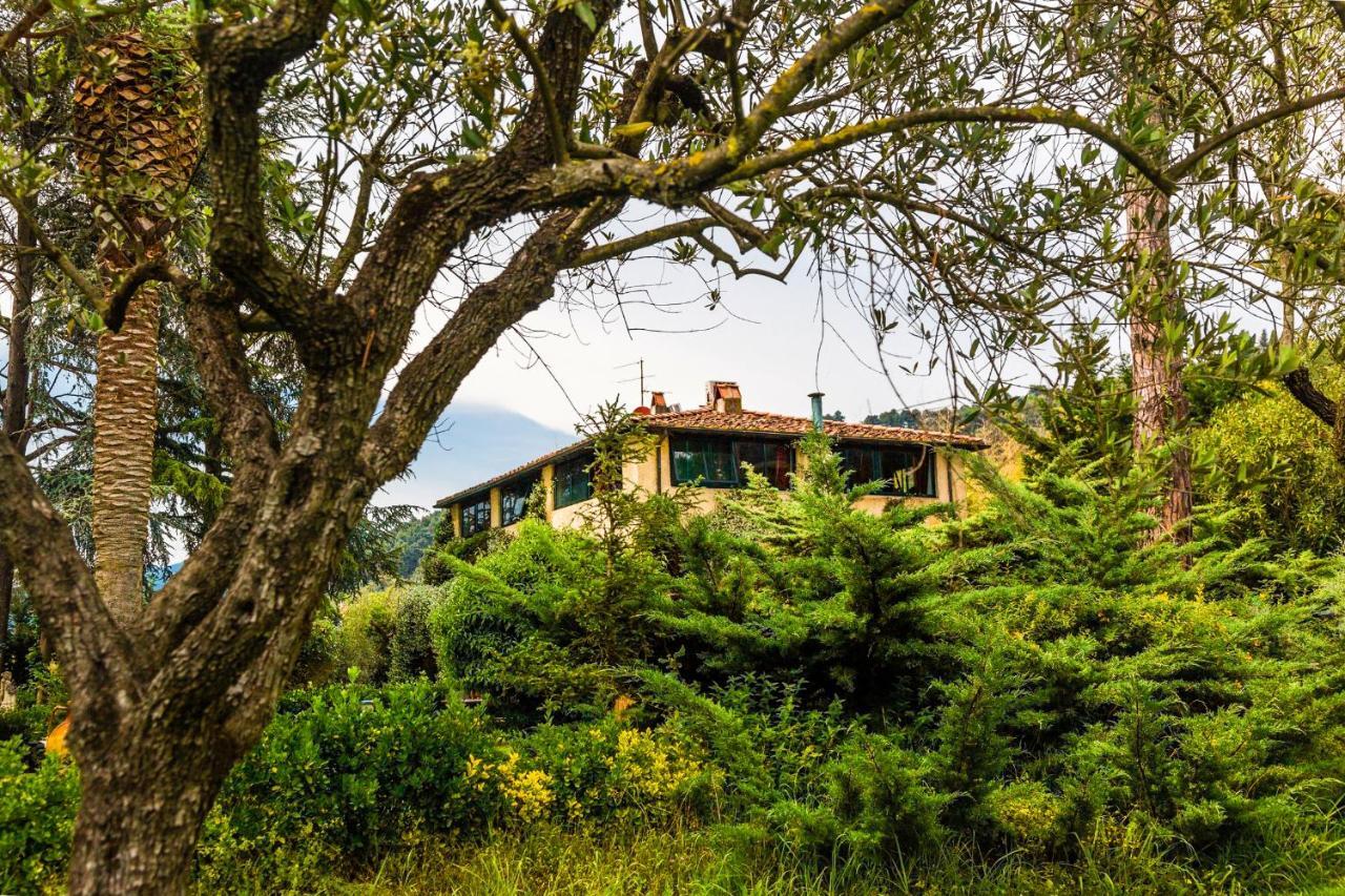 Casa Matilde Bed & Breakfast Mommio Ngoại thất bức ảnh