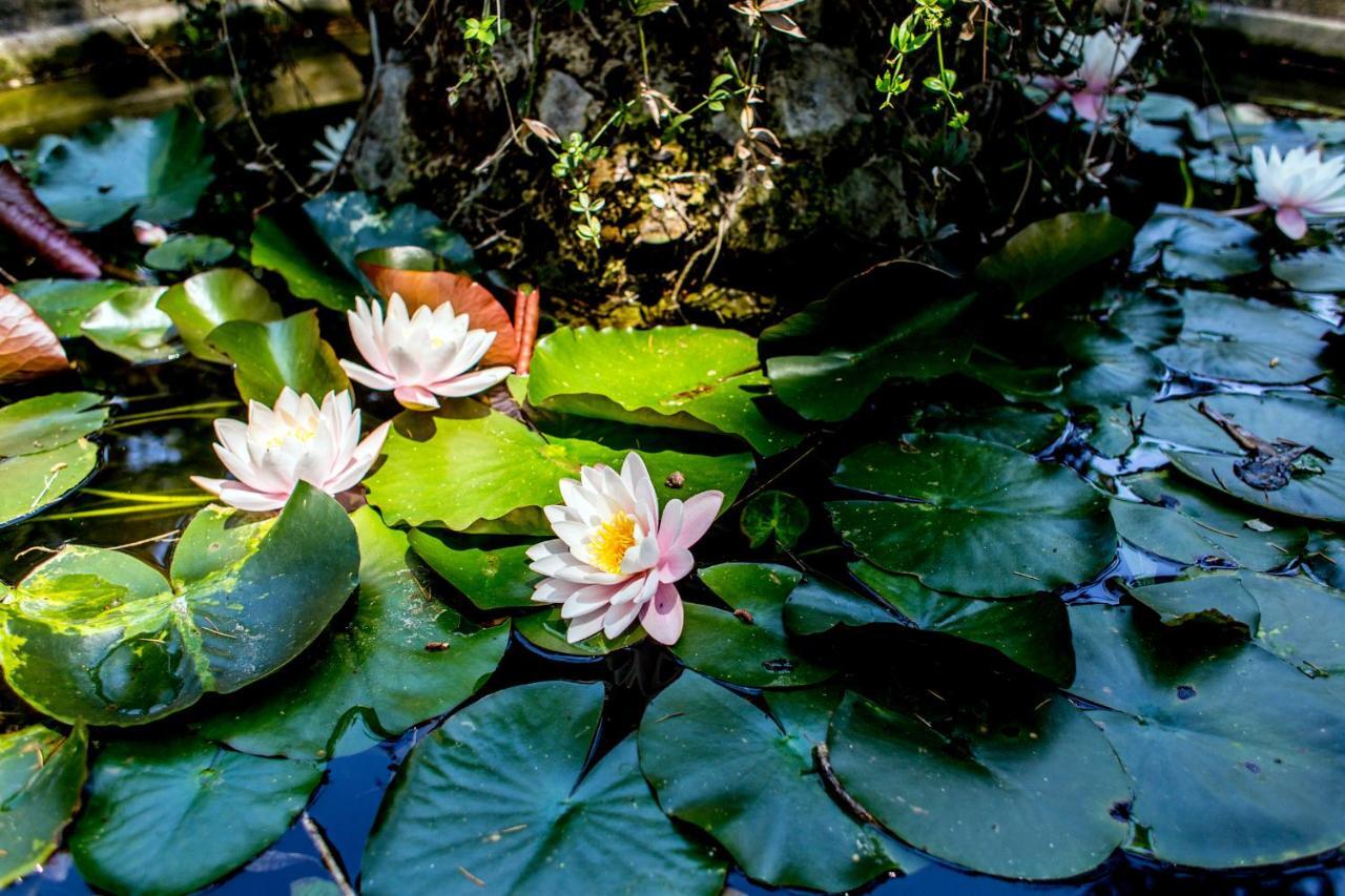 Casa Matilde Bed & Breakfast Mommio Ngoại thất bức ảnh